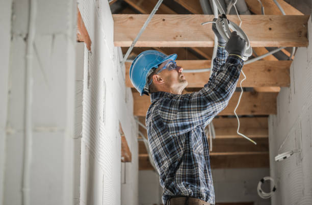 Best Electric Panel Repair  in Hidalgo, TX